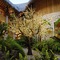 Le Bora Bora By Pearl Resorts - map