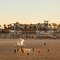 Kimpton Shorebreak Huntington Beach Resort By Ihg - map