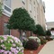 Hampton Inn Shreveport Airport - map