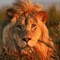 Gondwana Game Reserve - map
