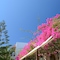 Asteri Hotel - map