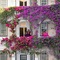 The Winchester Hotel By Newmark - map