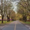 Doubletree By Hilton Burlington Vermont - map