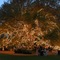 The Houstonian Club & Spa - map