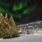 Reykjavik Natura - Berjaya Iceland Hotels - map