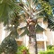 Holiday Inn Resort Grand Cayman By Ihg - map