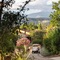 Terre Blanche Hotel Spa Golf Resort - map