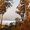 River Vineyard Retreat - map