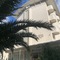 Hotel Audi Frontemare - map