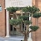 Hotel Nova Roma - map