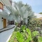 Best Western Posada Chahue - map