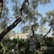 Parga Beach Resort - map