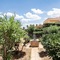 Hotel Koukouras and Lia Apartments annexe - map