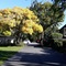Ashleigh Court Motel-Christchurch Hagley Park - map