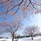 Atema Kogen Resort Belnatio - map