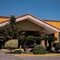 Holiday Inn La Piedad By Ihg - map