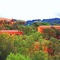 Hotel Aldiola Country Resort - map