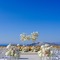Carpe Diem Santorini - map