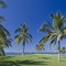 The St. Regis Punta Mita Resort - map