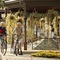 Hotel Izvir - Sava Hotels & Resorts - map