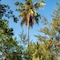 Hakuna Majiwe Beach Lodge - map