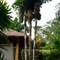 Palm Garden Resort - map