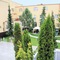 Hotel Spa Faltom Gdynia Rumia - map
