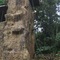 The Springs Resort And Spa At Arenal - map