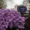 Hampton Inn Nashua - map