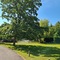 Crafted At Powdermills - map