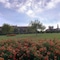 Popilia Country Resort - map