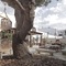 Coliving Add Livitum - map