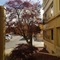 Ramada By Wyndham Downtown Spokane - map