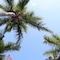 Capt Hiram's Resort - map