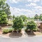 Quality Inn & Suites Rockingham - map