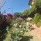 Hotel Doñana Blues - map