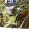 Hotel Madison Bahia - map