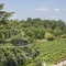 L'albereta, Relais & Chateaux - map