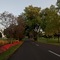 Lake Lawn Resort - map