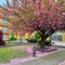 Courtyard By Marriott Fishkill - map