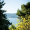 Camping Villaggio Cerquestra - map