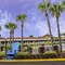 Hotel South Tampa & Suites - map