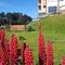 Altos Ushuaia Hotel & Resto - map