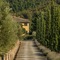 Dievole Wine Resort - map