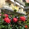 Hotel Eva La Romantica - map