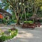 Filitheyo Island Resort - map
