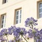 Best Western Premier Hotel Des Vignes Et Des Anges - map