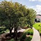 Courtyard By Marriott San Francisco Airport - map