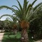 Flow Datca Surf & Beach Hotel - map