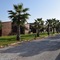 Bungalows Park Albufera - map